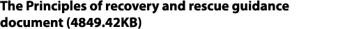 The Principles of recovery and rescue guidance document (4849.42KB)